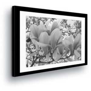 GLIX Obraz na plátně - Bílé Květy v Šedém Tónu v Paspartě 60x40 cm