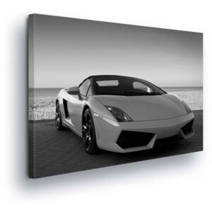 Obraz na plátně - Černobílé Sportovní Auto 3 x 30x100 cm