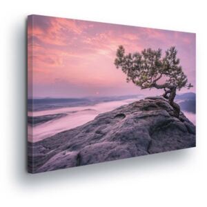 GLIX Obraz na plátně - Strom na Útesu v Růžové 4 x 60x40 cm