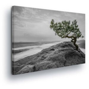 GLIX Obraz na plátně - Strom na Útesu v Šedé 2 x 30x80 / 3 x 30x100 cm