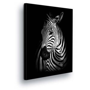 Obraz na plátně - Černobílá Zebra 80x80 cm