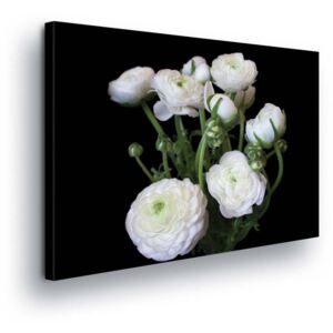 Obraz na plátně - Bílá Kalina Růže 3 x 30x100 cm