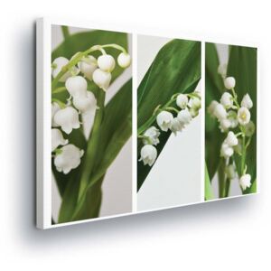 Obraz na plátně - Bílé Květy Konvalinek 60x40 cm