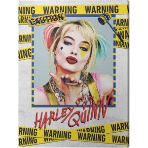 Obraz na plátně Birds Of Prey: Podivuhodná proměna Harley Quinn - Harley Quinn Warning, (30 x 40 cm)