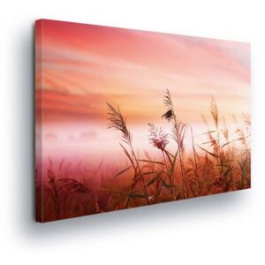 GLIX Obraz na plátně - Luční Traviny v Růžovém 2 x 40x60 / 2 x 30x80 / 1 x 30x100 cm