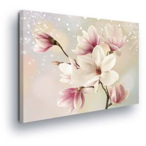 Obraz na plátně - Magické Růžové Květy 80x60 cm