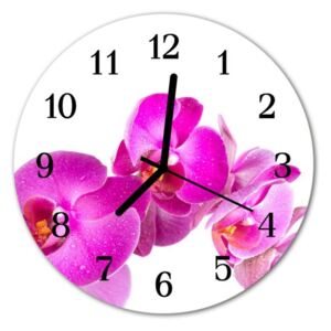 E-shop24, průměr 30 cm, Hnn56192797 Nástěnné hodiny obrazové na skle - Orchidej růžová