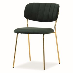 Jídelní židle ARATA VELVET, 49x80x55, zelená/zlatá