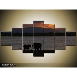 Obraz siluet slonů (F001037F210100)