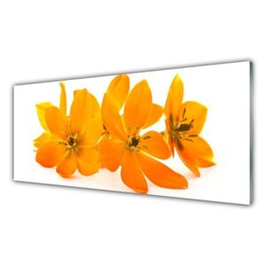 Obraz na skle - Oranžové květy