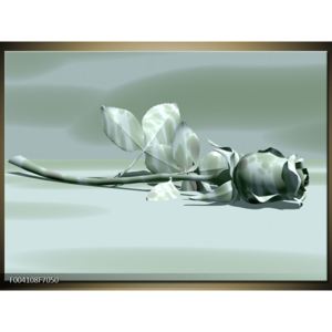Obraz šedobílé růže se skvrnami (F004108F7050)