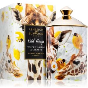 Ashleigh & Burwood London Wild Things You're Having A Giraffe vonná svíčka 320 g