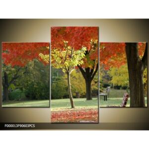 Obraz na plátně Podzimní park, Tvar obrazu a rozměr 3 dílný 90x60cm 1520 Kč