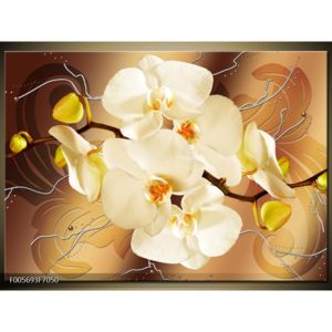 Krásný obraz orchidejí (70x50 cm)
