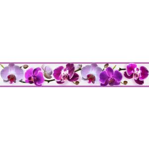 IB83-07, E-shop24, 83 mm x 5 m, Bordura na zeď samolepicí - Orchidej fialová