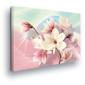Obraz na plátně - Růžovo-azurové Pozadí s Květinou 60x40 cm
