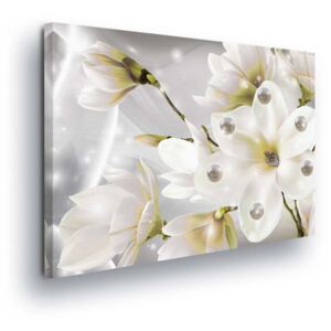 Obraz na plátně - Magické Bílé Květy II 40x40 cm