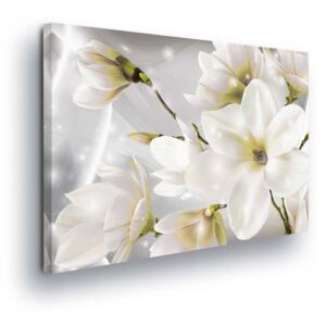 GLIX Obraz na plátně - Magické Bílé Květy 40x40 cm