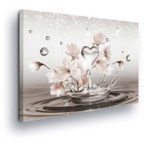 GLIX Obraz na plátně - Květy na Vodní Hladině II 80x80 cm