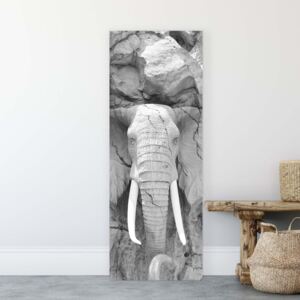 GLIX Obraz na plátně - Slon v Odstínech Šedé 3 x 30x100 cm