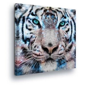 Obraz na plátně - Azurový Tygr 40x40 cm