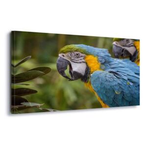 Obraz na plátně - Bright Macaw 4 x 30x80 cm