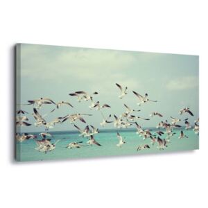 Obraz na plátně - Vintage Seagulls 4 x 30x80 cm