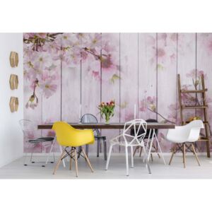 Fototapeta GLIX - Vintage Chic Cherry Blossom Flowers + lepidlo ZDARMA Papírová tapeta - 254x184 cm
