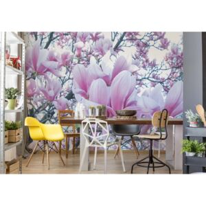 Fototapeta - Flowers Magnolia II. Papírová tapeta - 184x254 cm