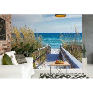 Fototapeta GLIX - Sylt White Sand Beach Path Coastal + lepidlo ZDARMA Papírová tapeta - 254x184 cm