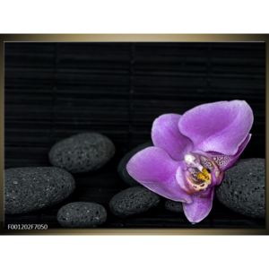 Černý obraz s orchidejí (F001202F7050)