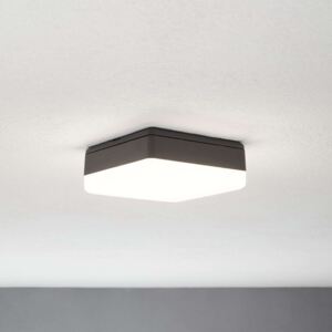 LED stropní svítilna Thilo, IP54, šedá, 16cm