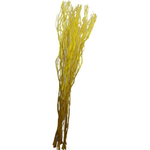 Větve 5ks-sv. 120cm, žluté