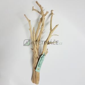 Dekorativní dřevěná větev Branchy 40cm - Do interiéru