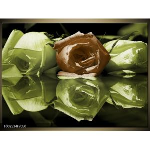 Obraz růží na vodě - zelená červená (F002534F7050)