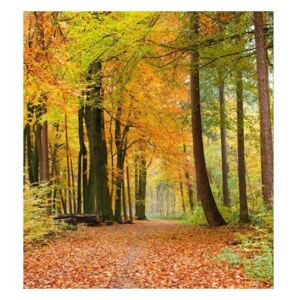 Vliesové fototapety na zeď Podzimní les | MS-3-0099 | 225x250 cm