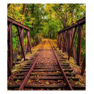 Vliesové fototapety na zeď Železnice v lese | MS-3-0055 | 225x250 cm
