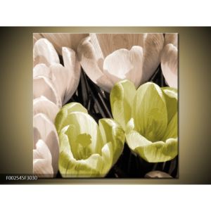 Obraz rozkvetlých tulipánů - žlutá bílá (F002545F3030)