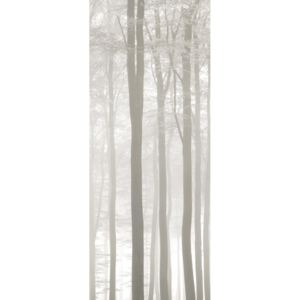 Vliesový panel Caselio 63547000, kolekce LEGENDS, materiál vlies, styl moderní 100 x 280 cm