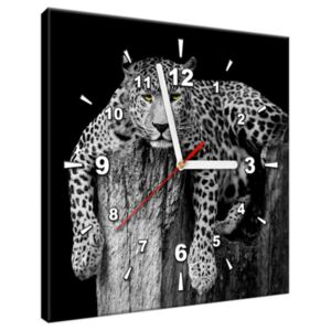Tištěný obraz s hodinami Leopard na stromě ZP2343A_1AI