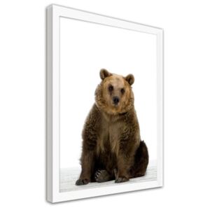 CARO Obraz v rámu - Bear 30x40 cm Bílá