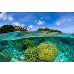 Vliesové fototapety na zeď Korálový útes | MS-5-0200 | 375x250 cm