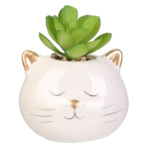 Malá umělá rostlinka kočka