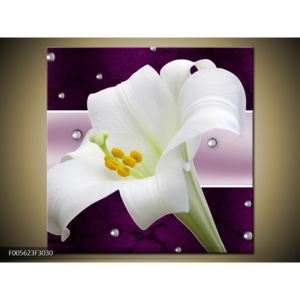 Obraz bílé květiny (F005623F3030)
