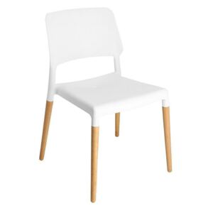 Židle Cole bílá