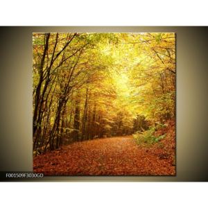 Obraz krásy podzimu (F001509F3030GD)