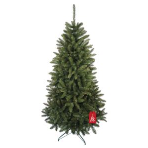 Vánoční stromeček Smrk Kavkazský 220 cm