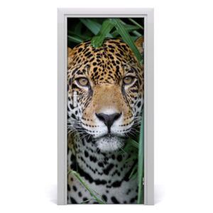 Fototapeta samolepící na dveře Amazonie jaguár