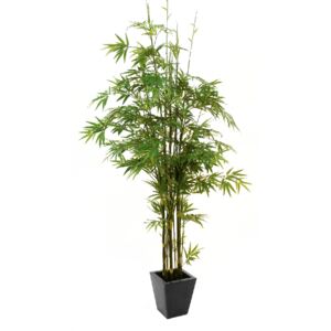 Europalms Bambus strom s černým kmenem, 240 cm
