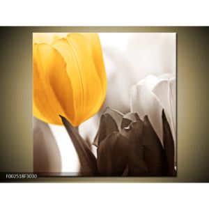 Krásný obraz žlutého tulipánu (30x30 cm)